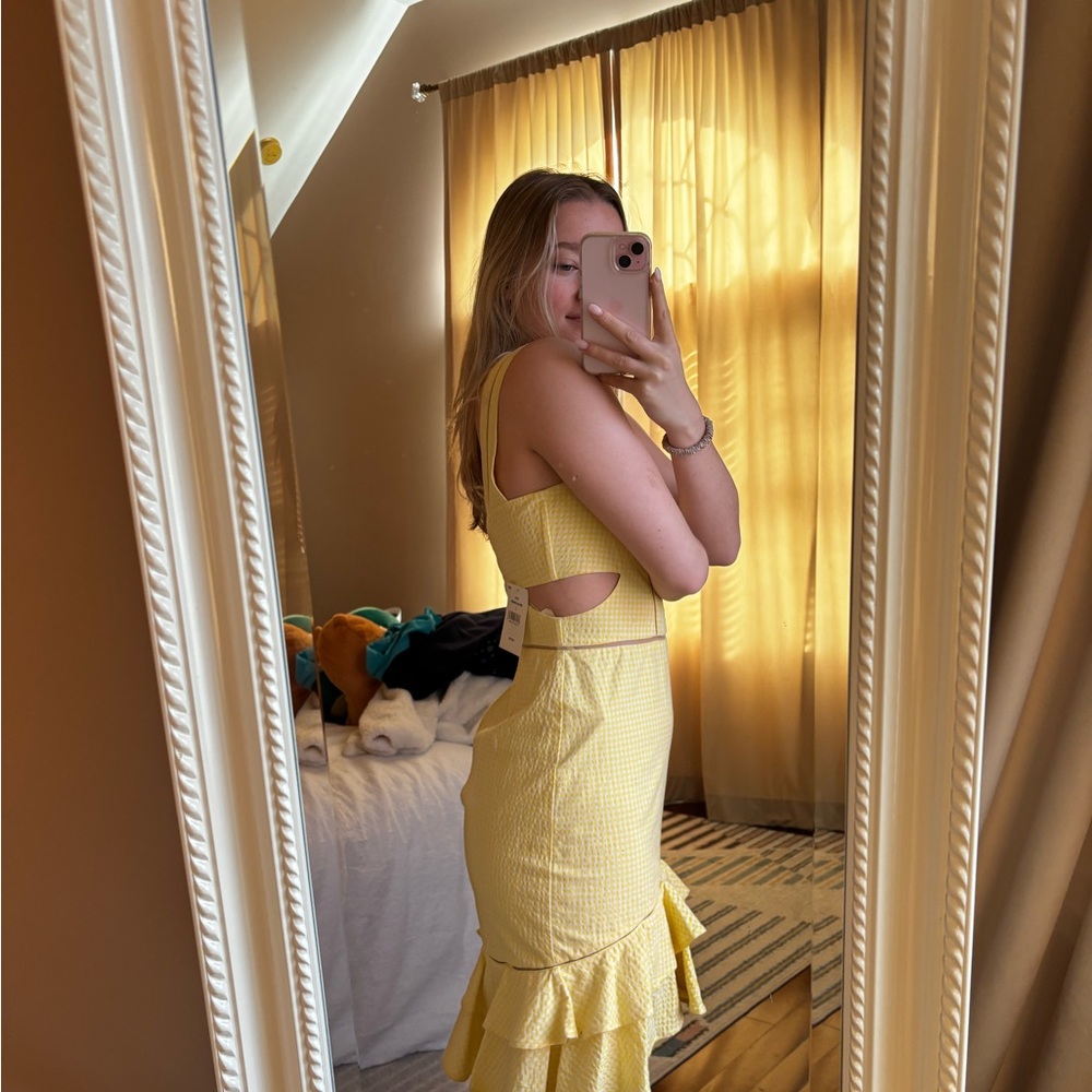 Jonathan Simkhai Yellow Ruffle Mini Dress - Picture 2 of 4